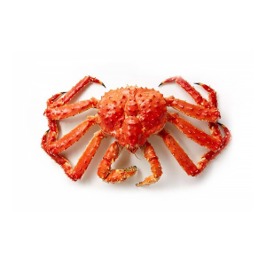 King Crab