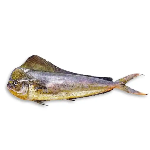 Mahi Mahi