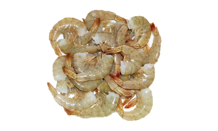 Eastco Shrimps Medium