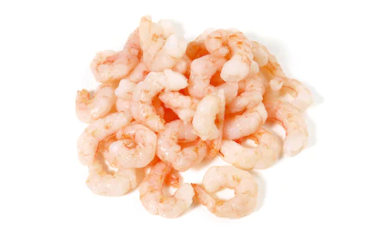 Eastco Shrimps Small