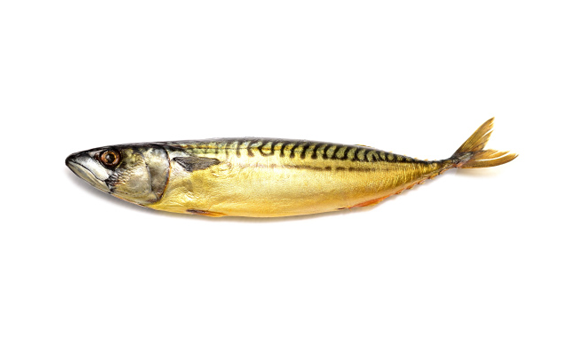 Mackerel Whole