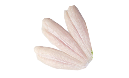 White Fish fillet – Eastco