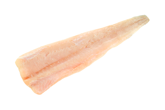 Fresh Hake-Fillet Price in Dubai | East Fish Processing