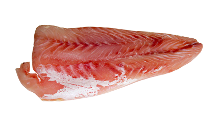 Nile Perch Fillet